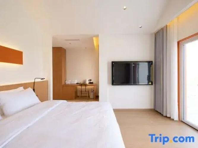 Standard Double room with balcony and with sea view