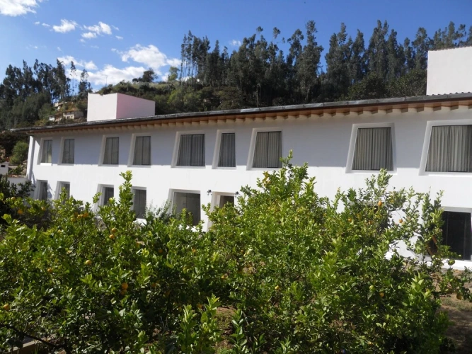 Standard Twin room with garden view