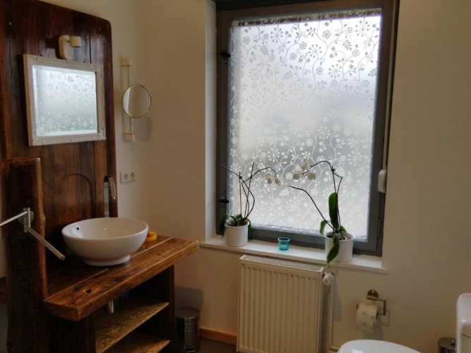 Basement Apartment with view