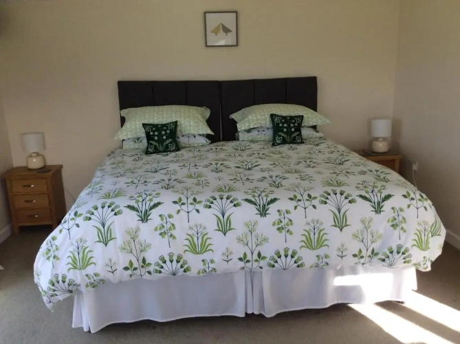 Deluxe Double room with garden view