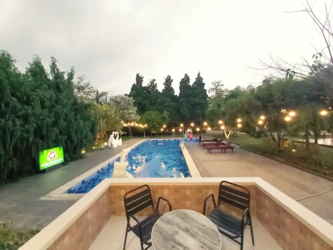 Standard Double room with balcony and with pool view