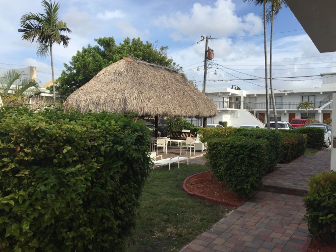 Hollywood Beach Flamingo photo 13