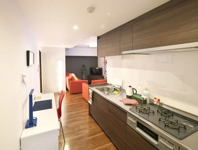 Luxury Apartment