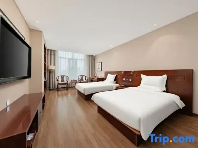 Executive Twin room