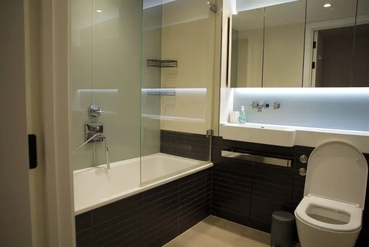 Luxury Apartment
