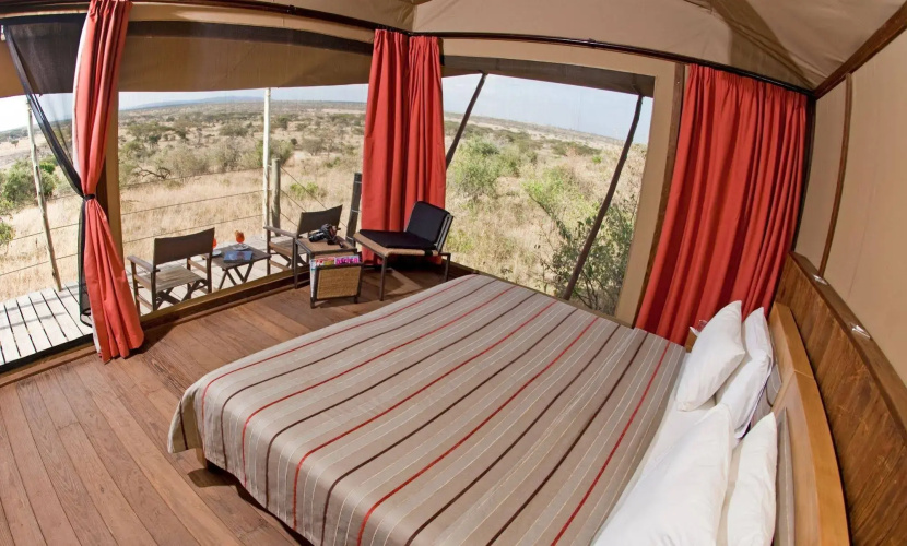 Basecamp Eagle View