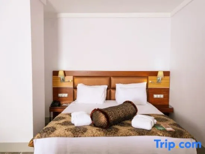 Comfort Double Suite