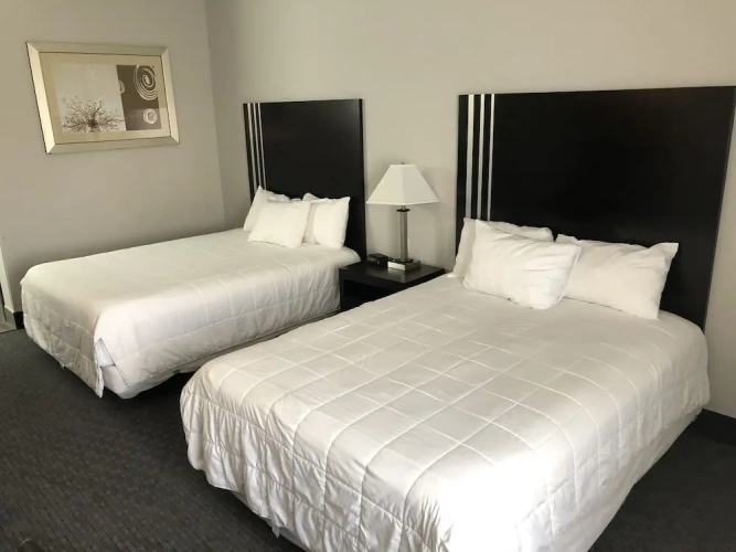 Standard Quadruple Suite