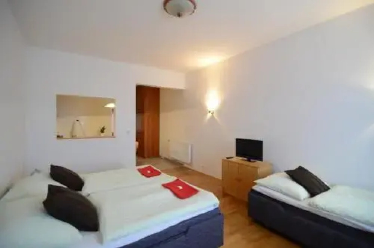 Golden Karlín Apartment