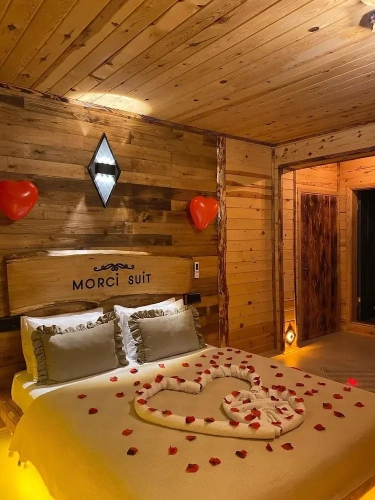 Comfort Suite