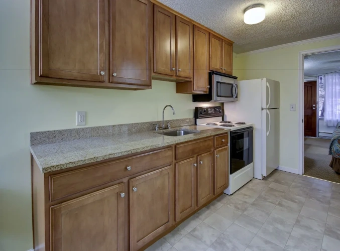 1 Bedroom Suite