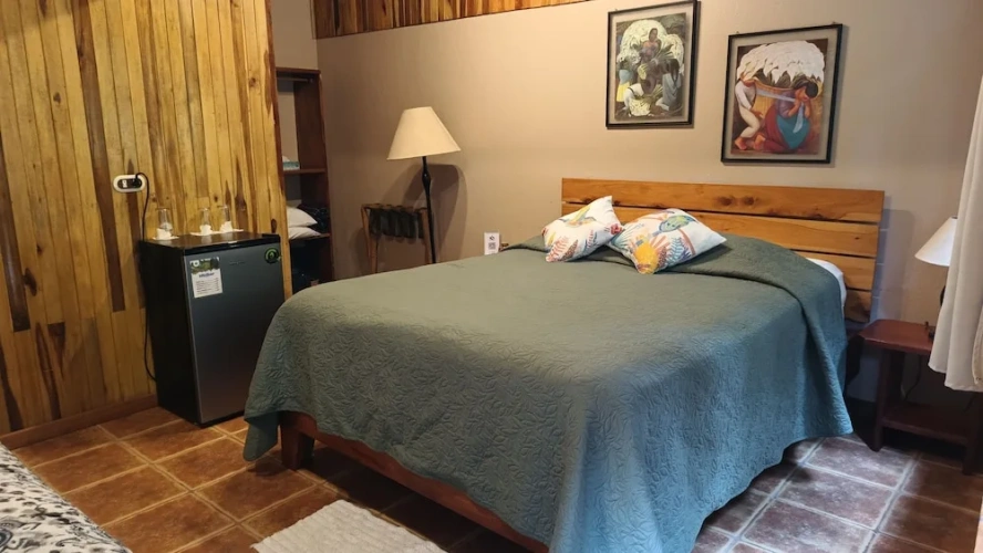 Economy Double Basement room with courtyard view