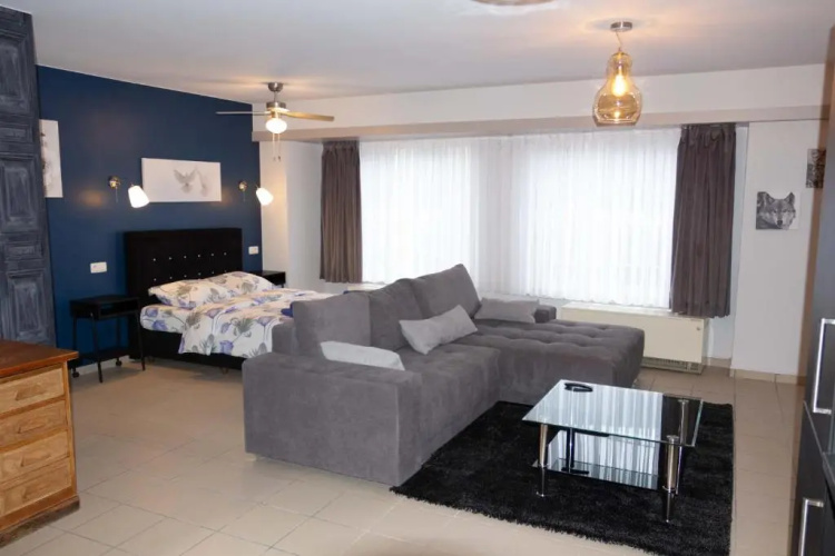 Renovated Apartment in Antwerp