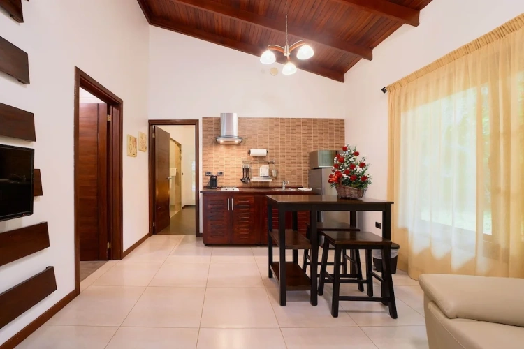 Luxury Apartment