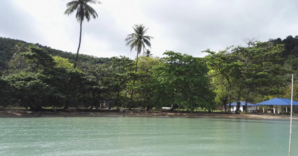 Tropical Eco Camping