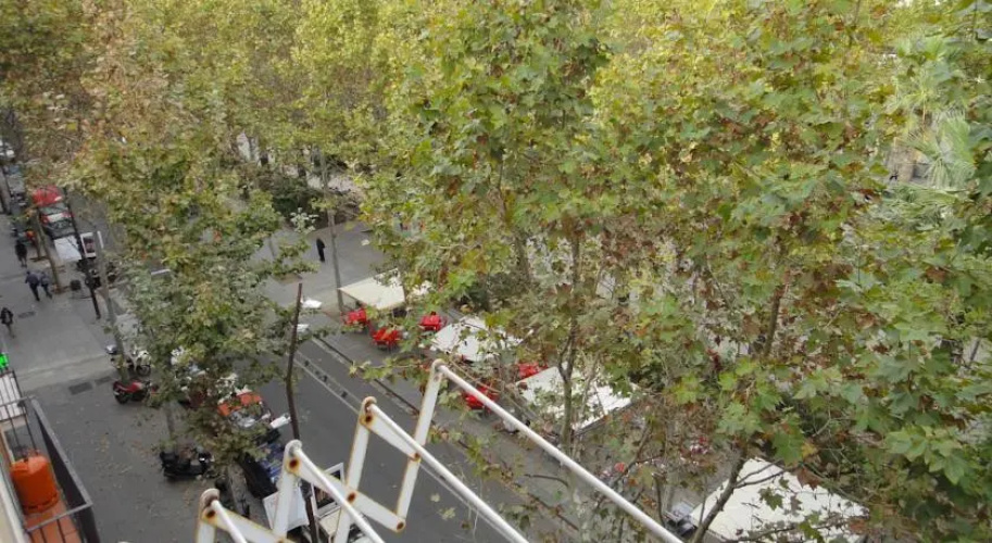 Shikbarcelona Raval