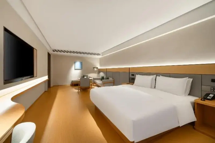 Standard Suite