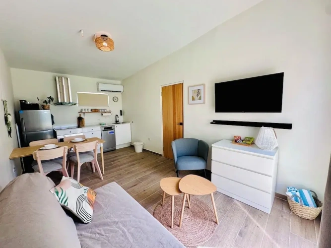 Deluxe Apartment