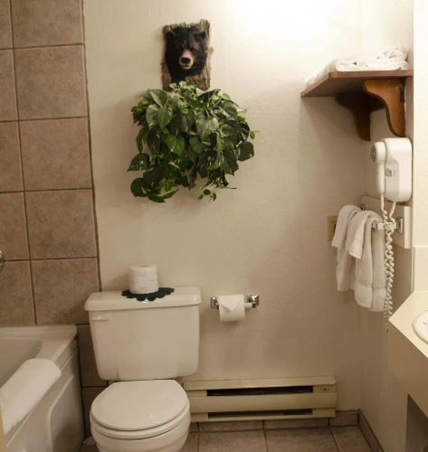 Superior Double Suite