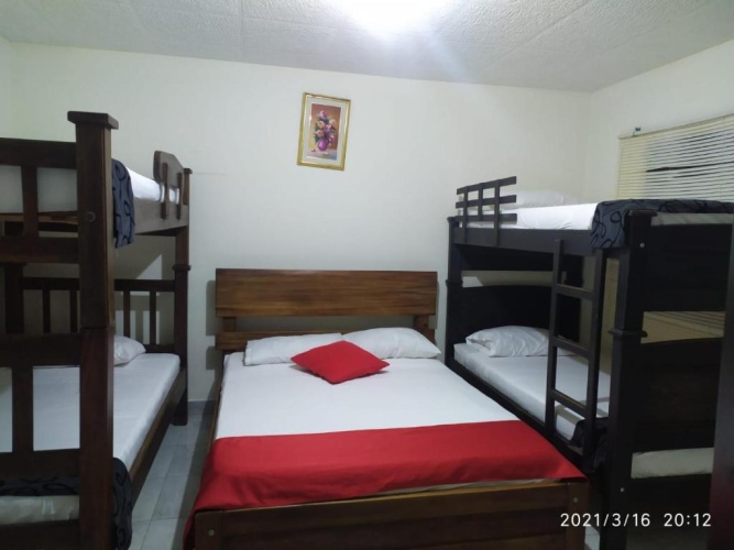 Bed in Dorm