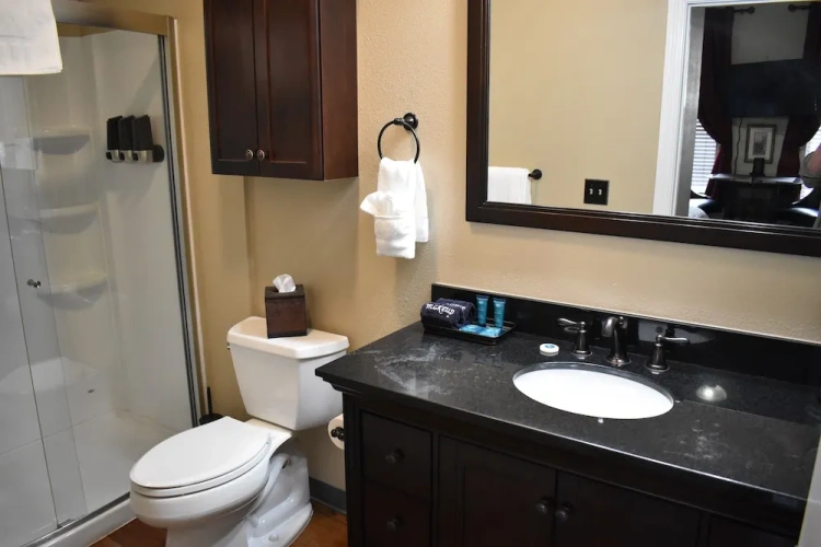 Comfort Double Studio