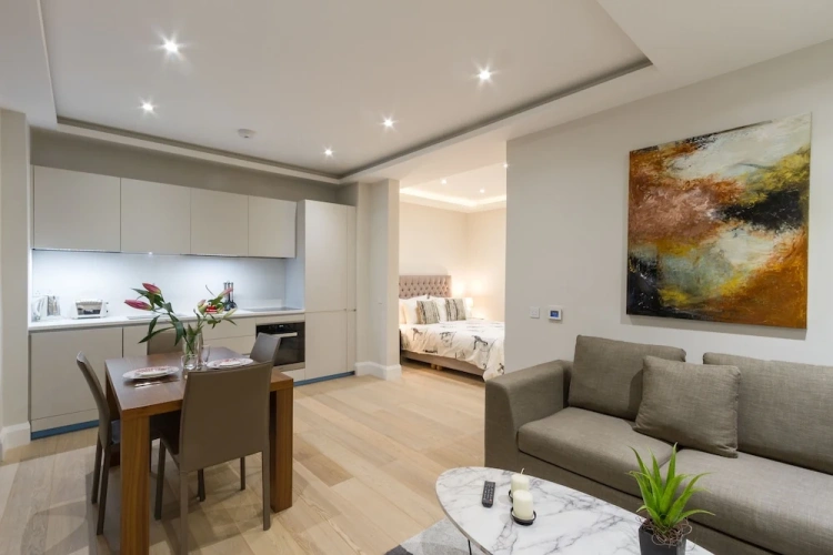 Luxury Apartment
