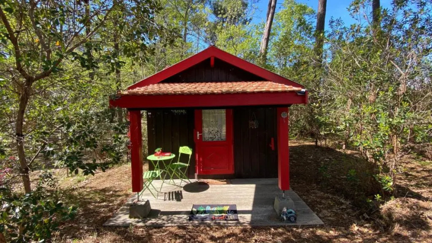 L’Oasis au milieu de la Forêt
