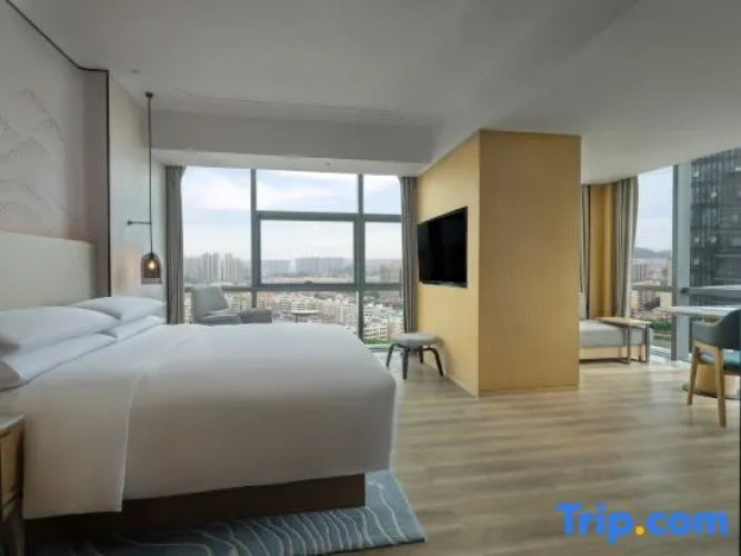 1 Bedroom Deluxe Double Suite with city view