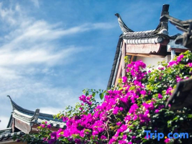 GVLAOGAO-HOTEL