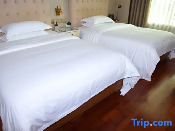 Executive Quadruple Suite