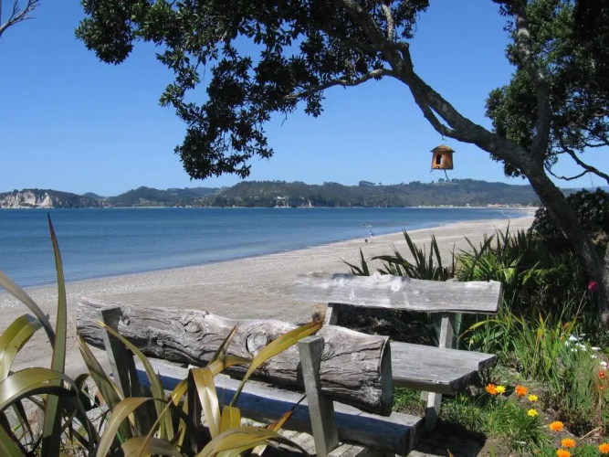 Beachfront Resort