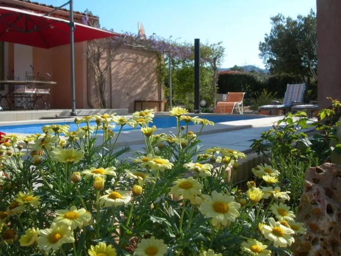 Standard Double room with garden view