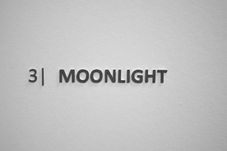 Carl.22 City Appartements Over view