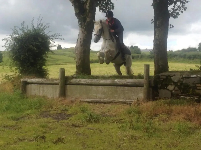 The Rock Equestrian Farm B&B