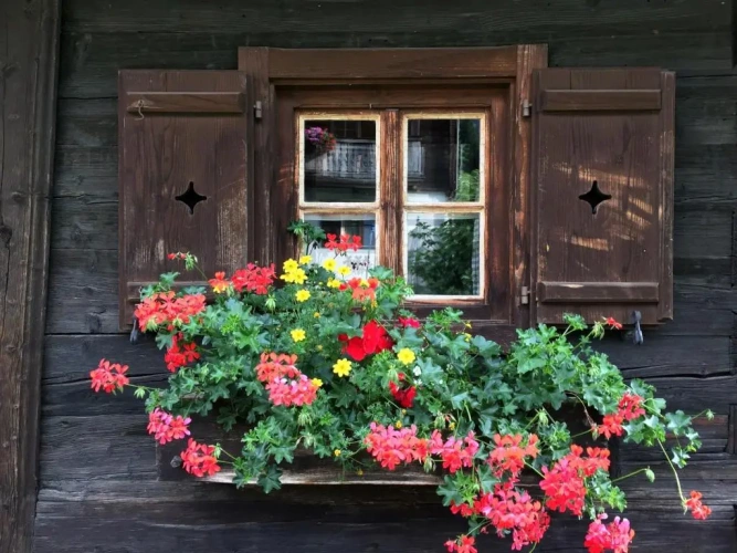 Chalet