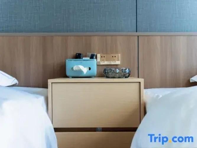 Standard Twin room with balcony