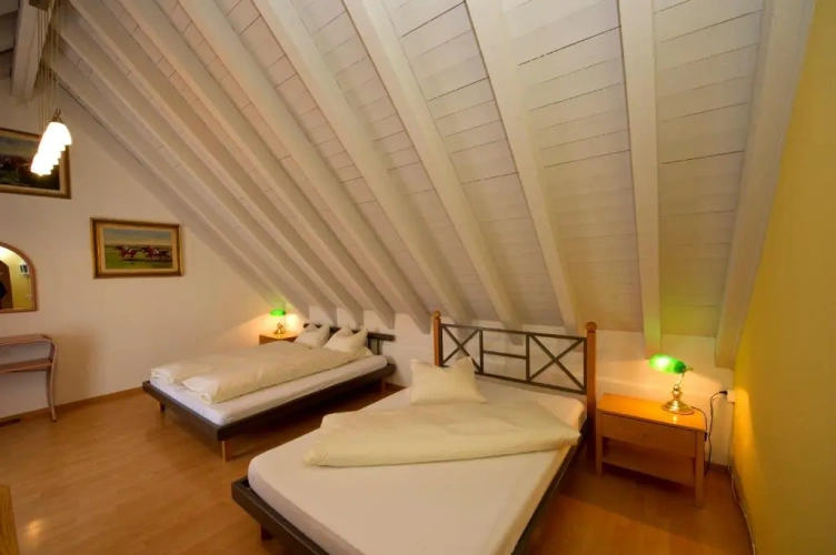 Standard Double Family room