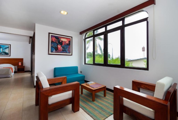 Deluxe Apartment with balcony and with view