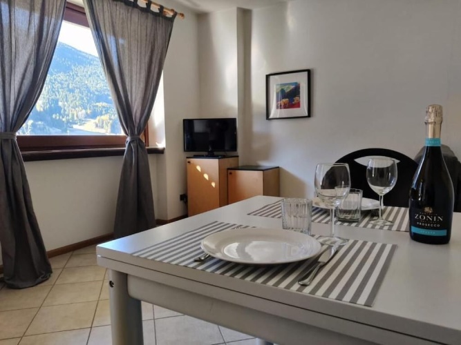 Apartment with garden view