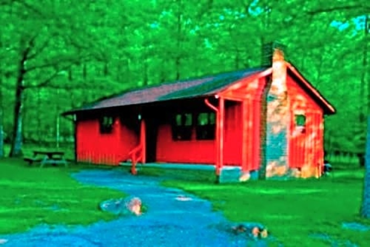 Single Bungalow