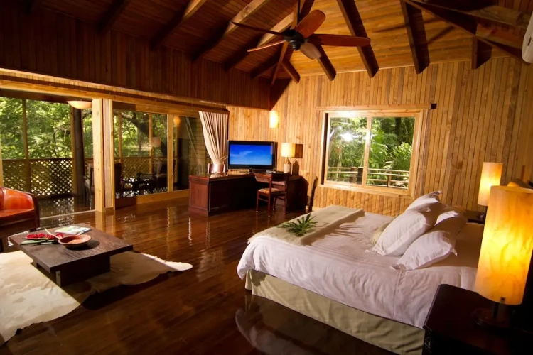Single Suite