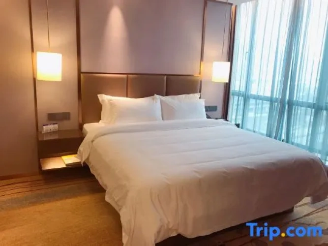 Comfort Family Suite