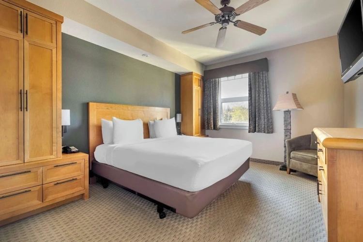 1 Bedroom Deluxe Double Suite