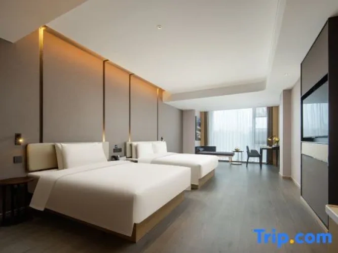 Executive Twin Family room
