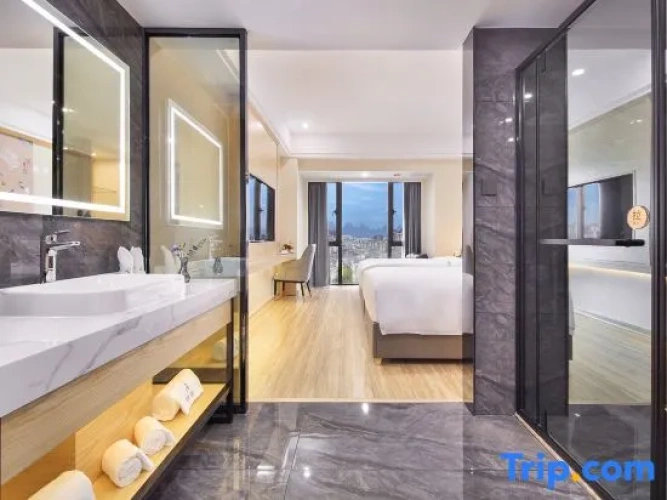 Deluxe Twin room with city view