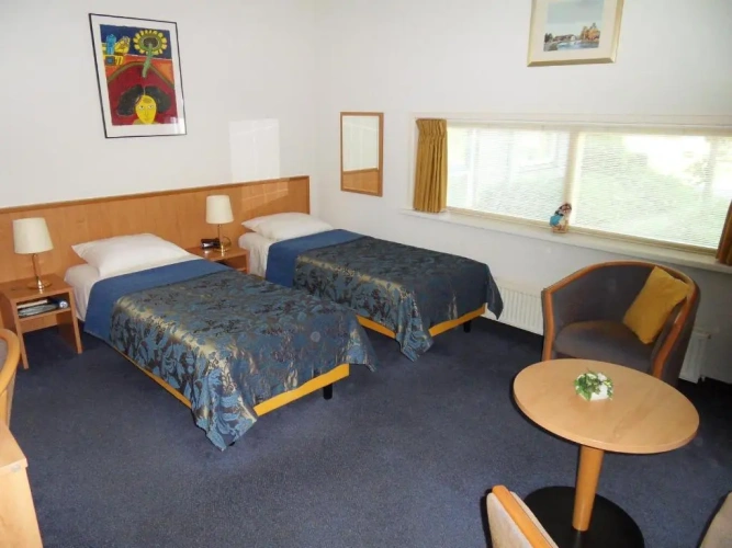 Standard Double room with garden view