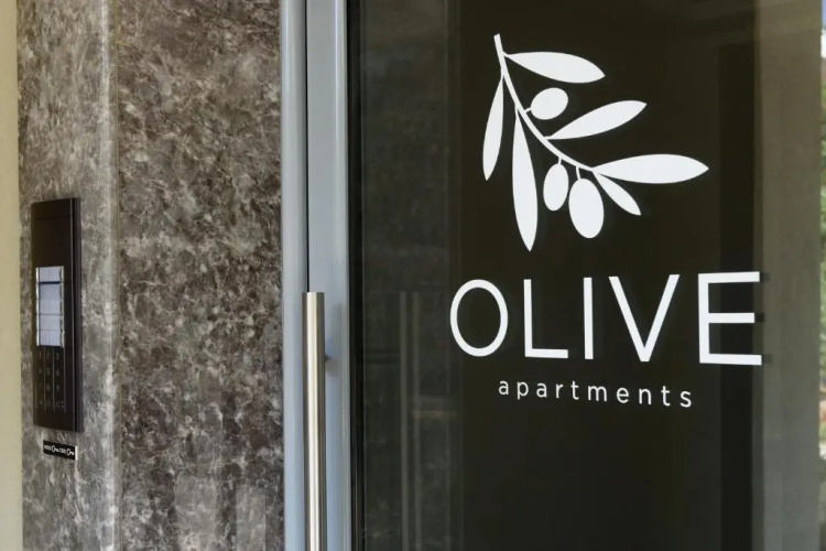 Olive 103