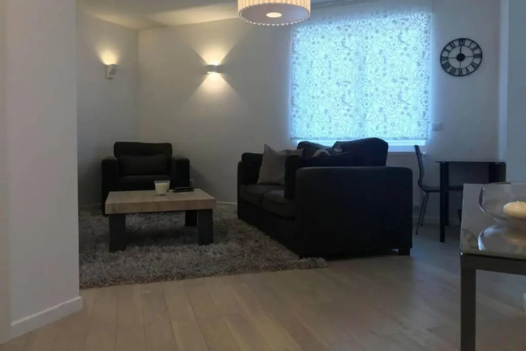 Appartement 2P Strasbourg centre - Homme de fer