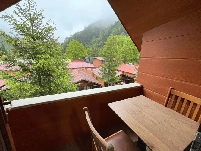 Standard Double room with balcony and with garden view