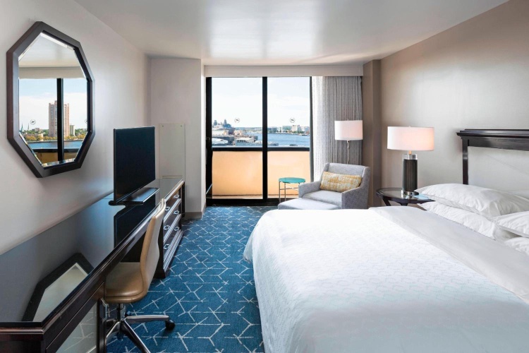 Sheraton Norfolk Waterside photo 8